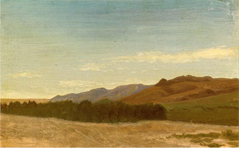 Albert Bierstadt The_Plains_Near_Fort_Laramie China oil painting art